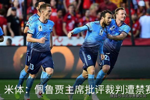 米体：佩鲁贾主席批评裁判遭禁赛3个月，并追加500欧元罚款